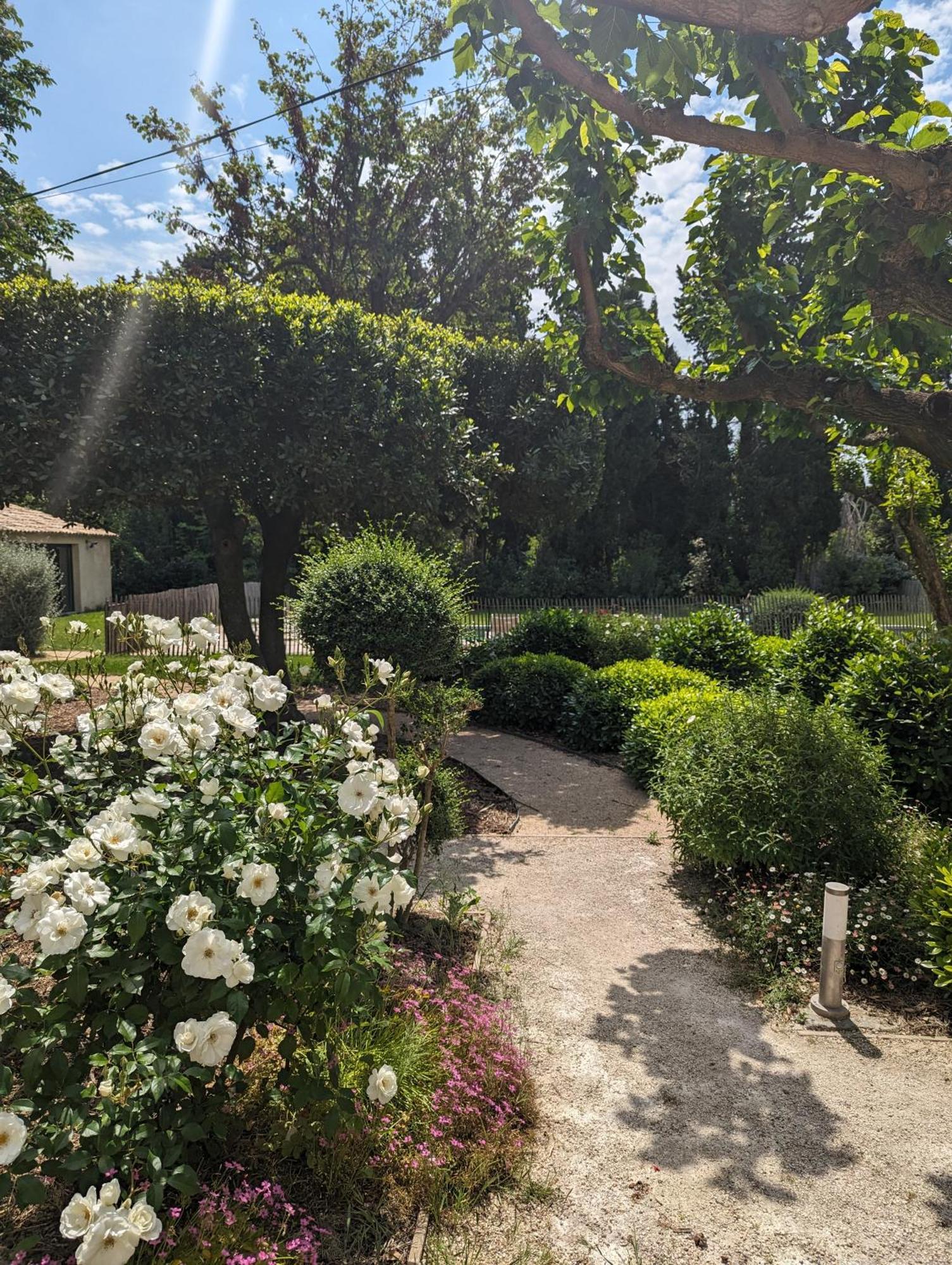 Mas De La Gramillere Hotel Barbentane Bagian luar foto